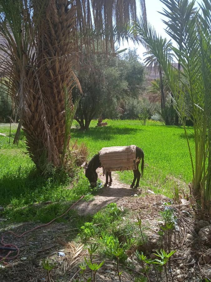 Dar Jamila Hotel Achbarou Eksteriør billede